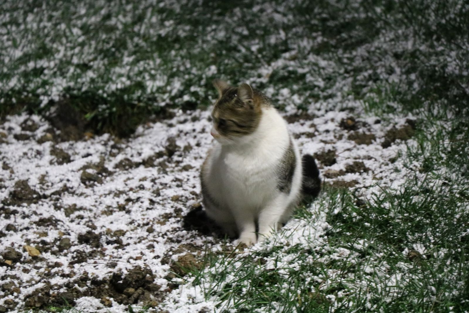 İstanbul’da beklenen kar yağışı başladı