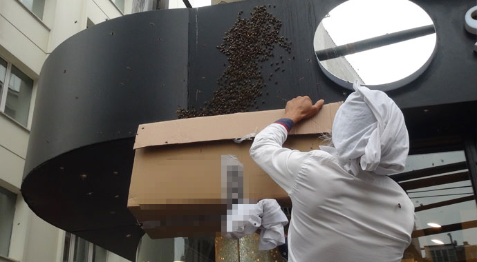 İstiklal Caddesi'ni arılar bastı İstiklal Caddesi'ni arılar bastı