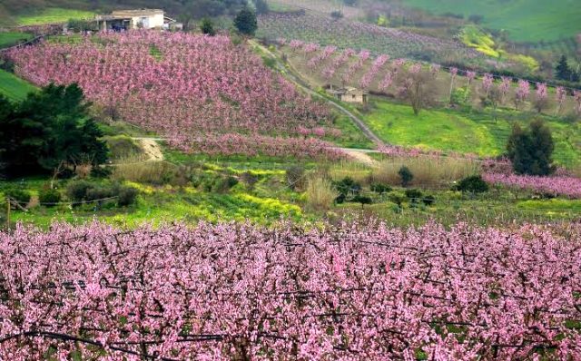 İtalya'da bir kasaba evler 6,5 liraya satılıyor