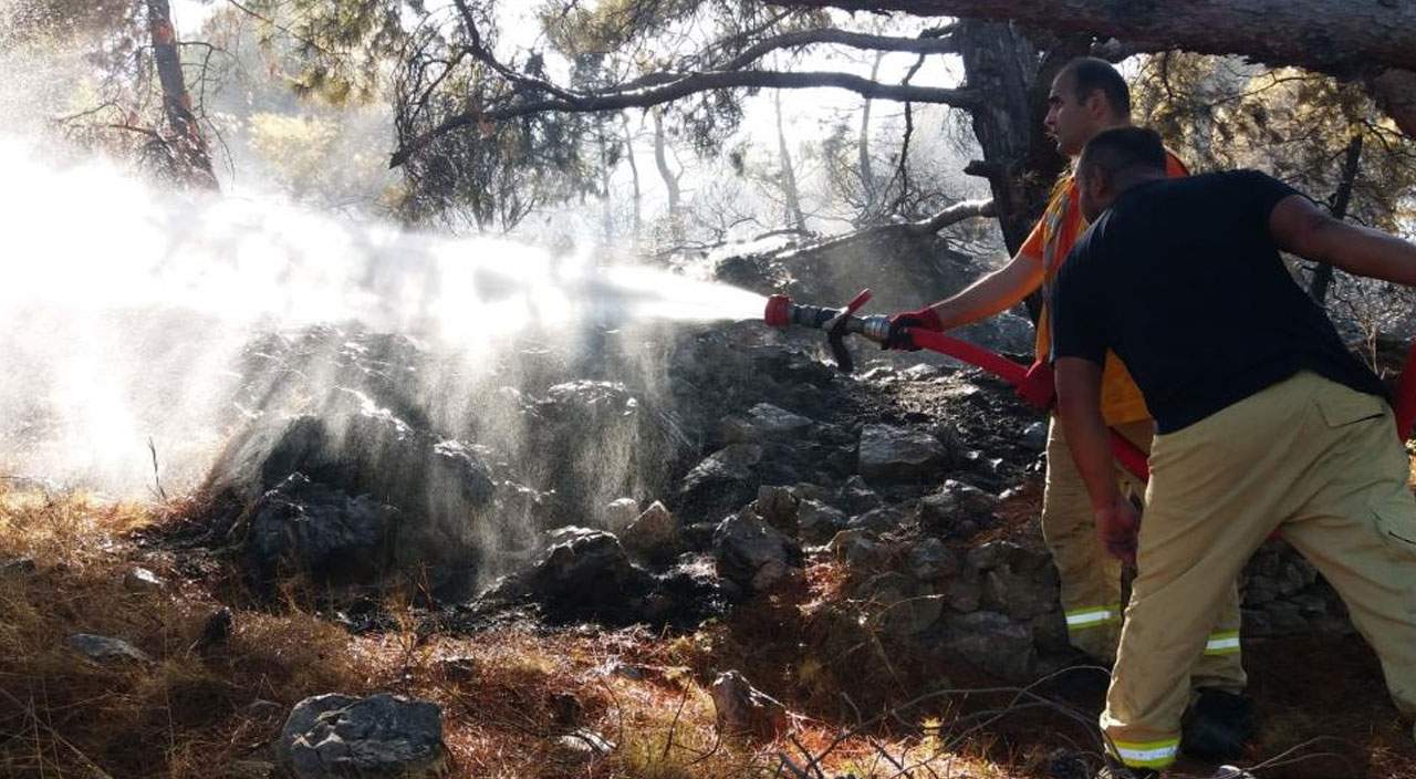 Çeşme marina bölgesinde yangın