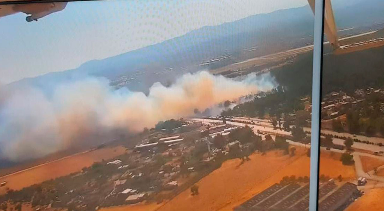 İzmir'de orman yangını