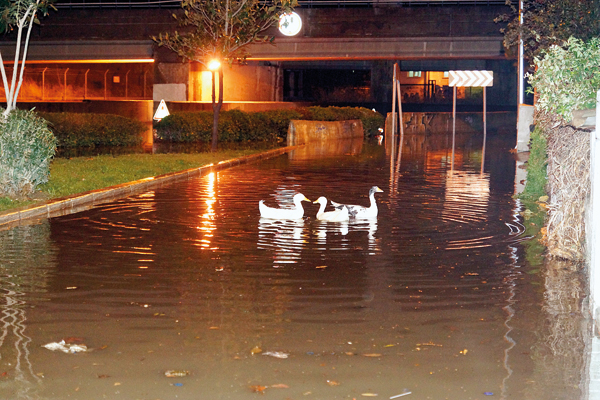 Yağmur sona erdi, sırada kar var