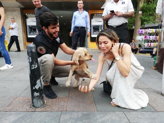 İstanbul'da operasyon! Hepsi tek tek durduruldu