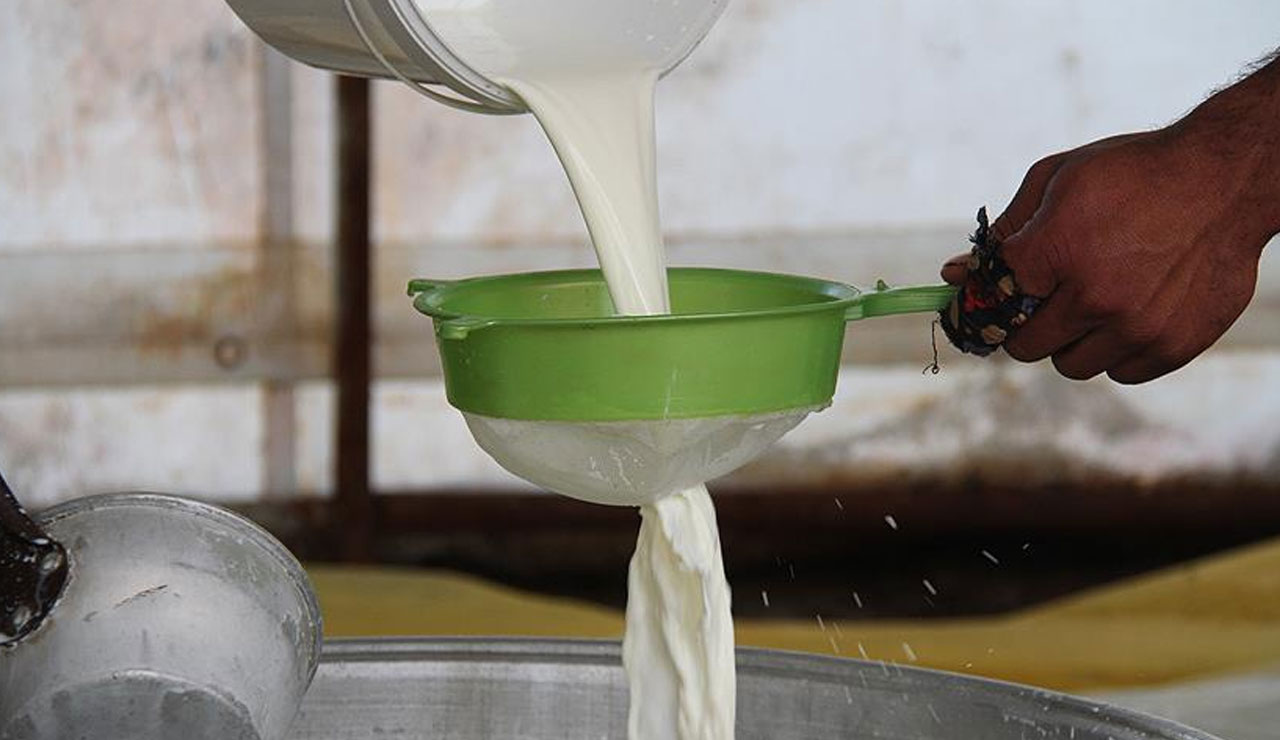 Üreticiler mezbahaların yolunu tutuyor: Süt ineği alarm veriyor