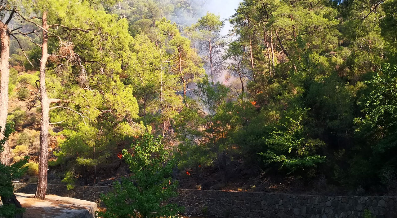 Marmaris’teki yangın kontrol altına alındı Marmaris’teki yangın kontrol altına alındı