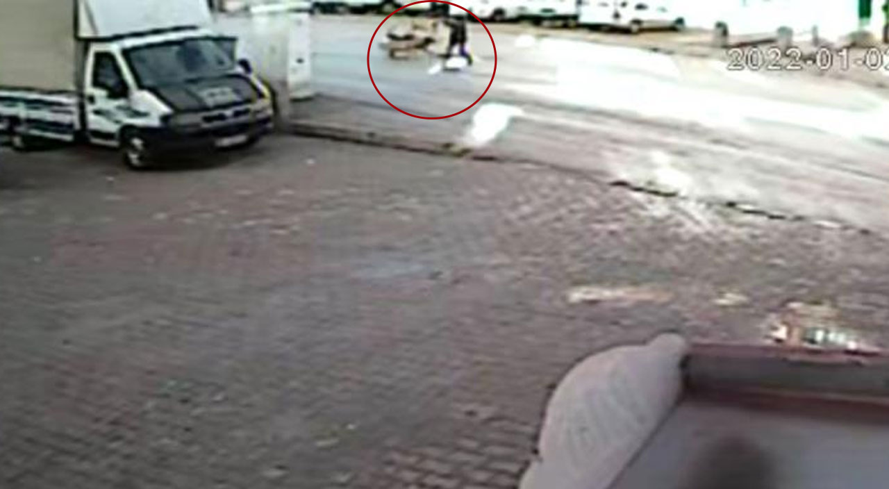 Sokak köpekleri 10 yaşındaki çocuğa saldırdı