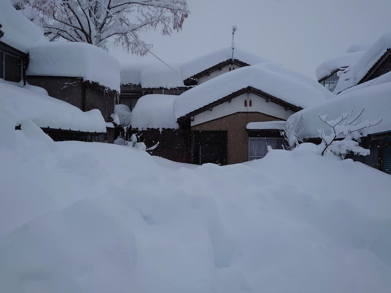 Japonya’da kar yağışı nedeniyle yüzlerce araç yolda kaldı, 1 kişi öldü