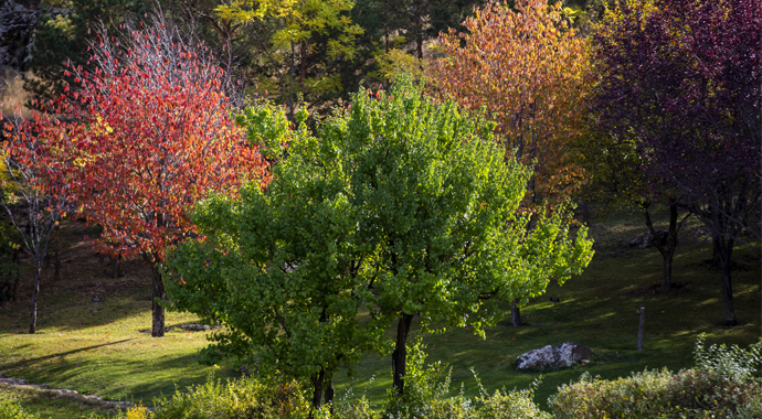 Ziyaretçilerin ilgi odağı: Bozkırın ortasında Japon Bahçesi