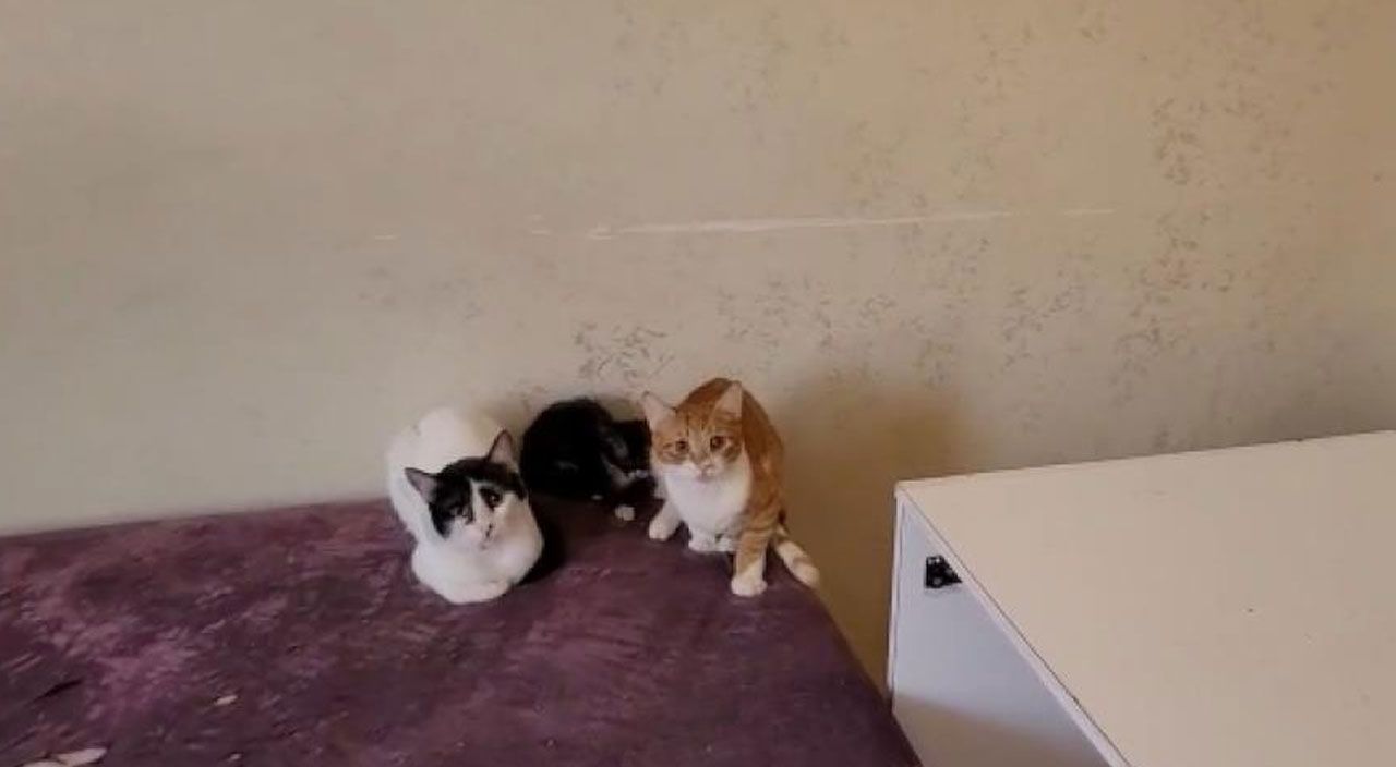 Bir çöp ev vakası daha! Bursa’da çöp evden çıkanlar şaşkına uğrattı