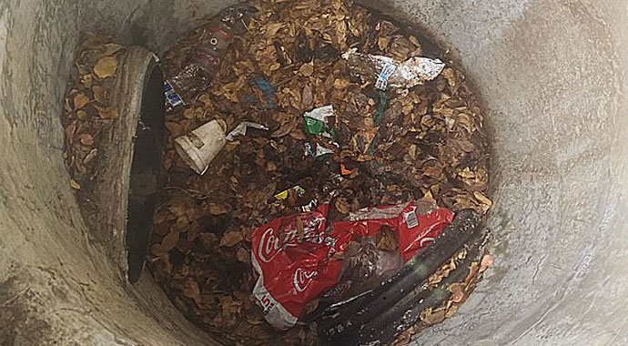 Kanalda yüzerken kayboldu, üç hafta boyunca kanalizasyonda yaşadı