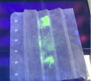 Japon uzmanlar ışık altında virüsü tespit edebilen maske geliştirdi