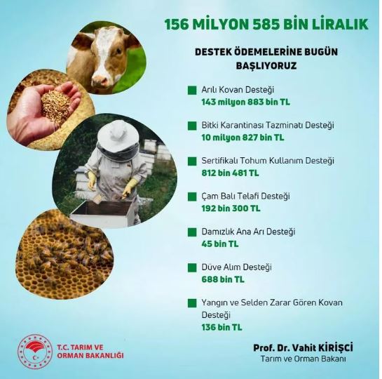 Bakan Kirişçi açıkladı: Ödemeler bugün hesaplara yatacak