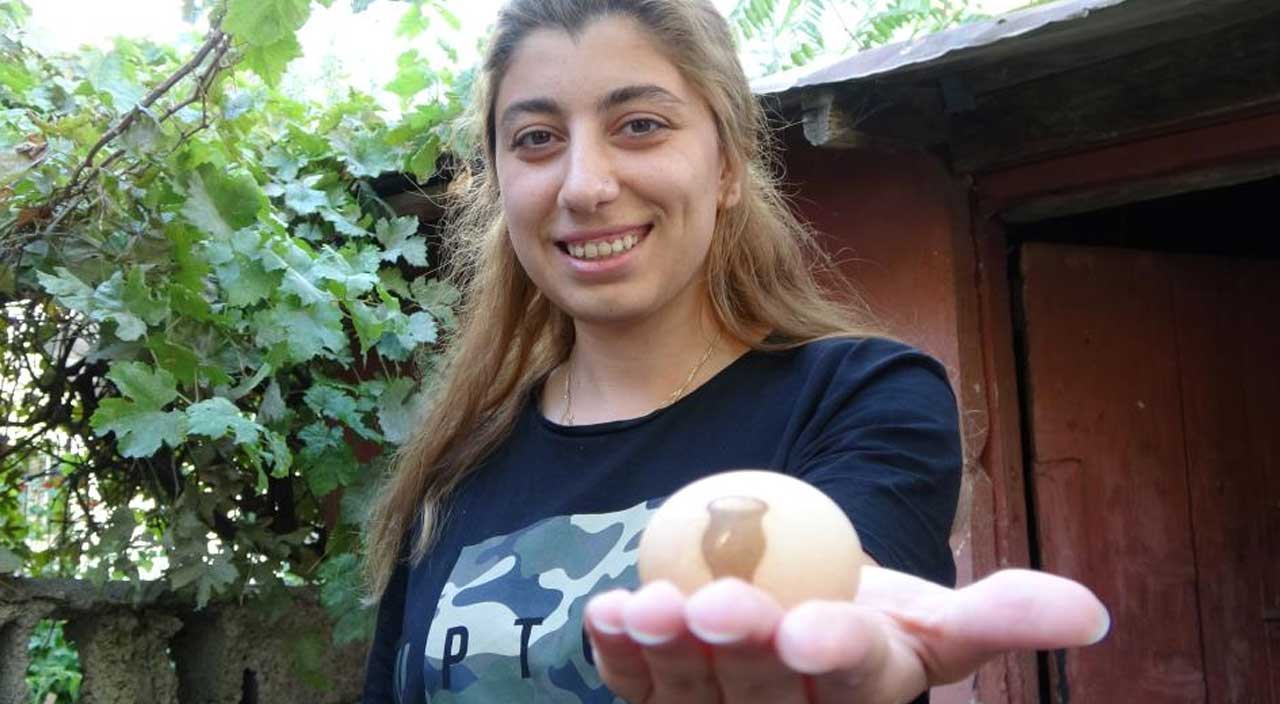 Yumurta toplamaya gitti, gördüğüne inanamadı! Saklamaya karar verdi: Daha önce hiç karşılaşmadım Yumurta toplamaya gitti, gördüğüne inanamadı! Saklamaya karar verdi: Daha önce hiç karşılaşmadım