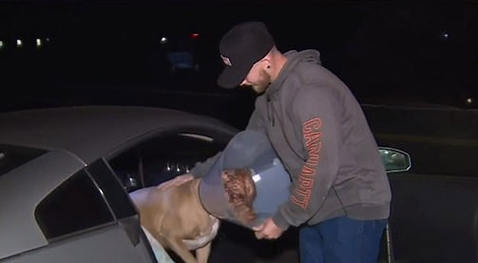 Ayıyı tokatlayıp köpeğini kurtardı Ayıyı tokatlayıp köpeğini kurtardı