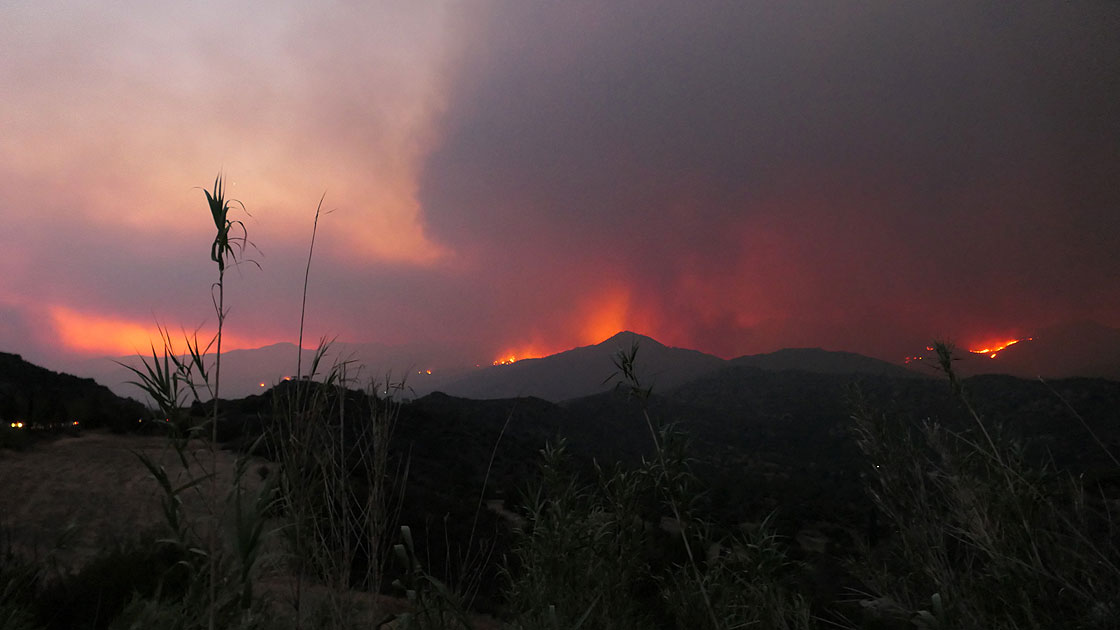 Kıbrıs Rum kesiminde yangın: 4 ölü Kıbrıs Rum kesiminde yangın: 4 ölü