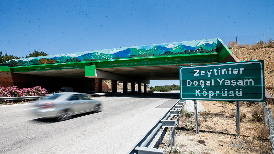 İzmir-Çeşme Otoyolu üzerindeki 'ekolojik köprünün' yapımı tamamlandı