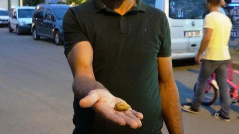 Iğdır'da bulundu! Fotoğraf çektirmek için sıraya girdiler
