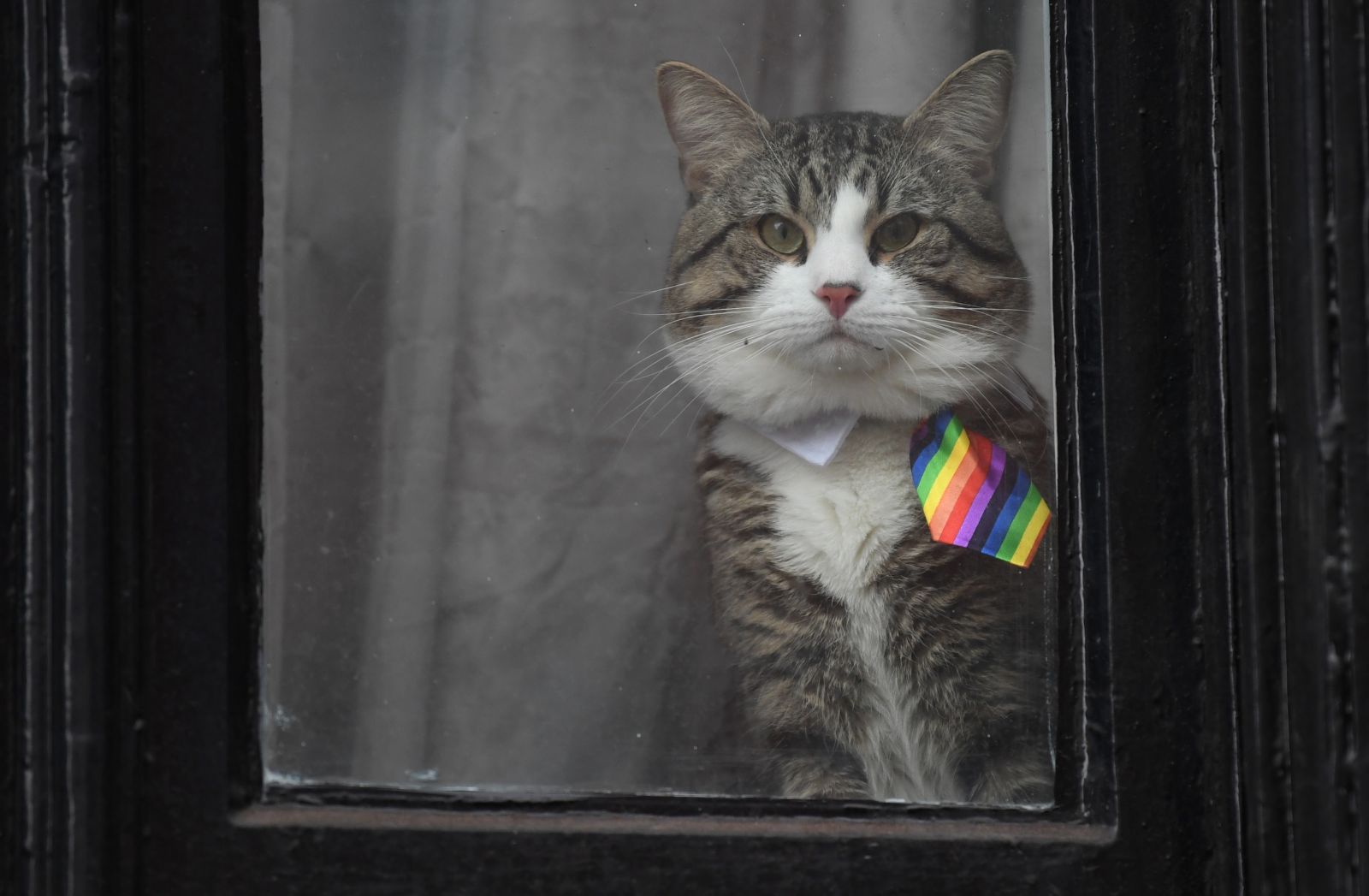 Ekvador devlet başkanından Assange'a 'casusluk' suçlaması