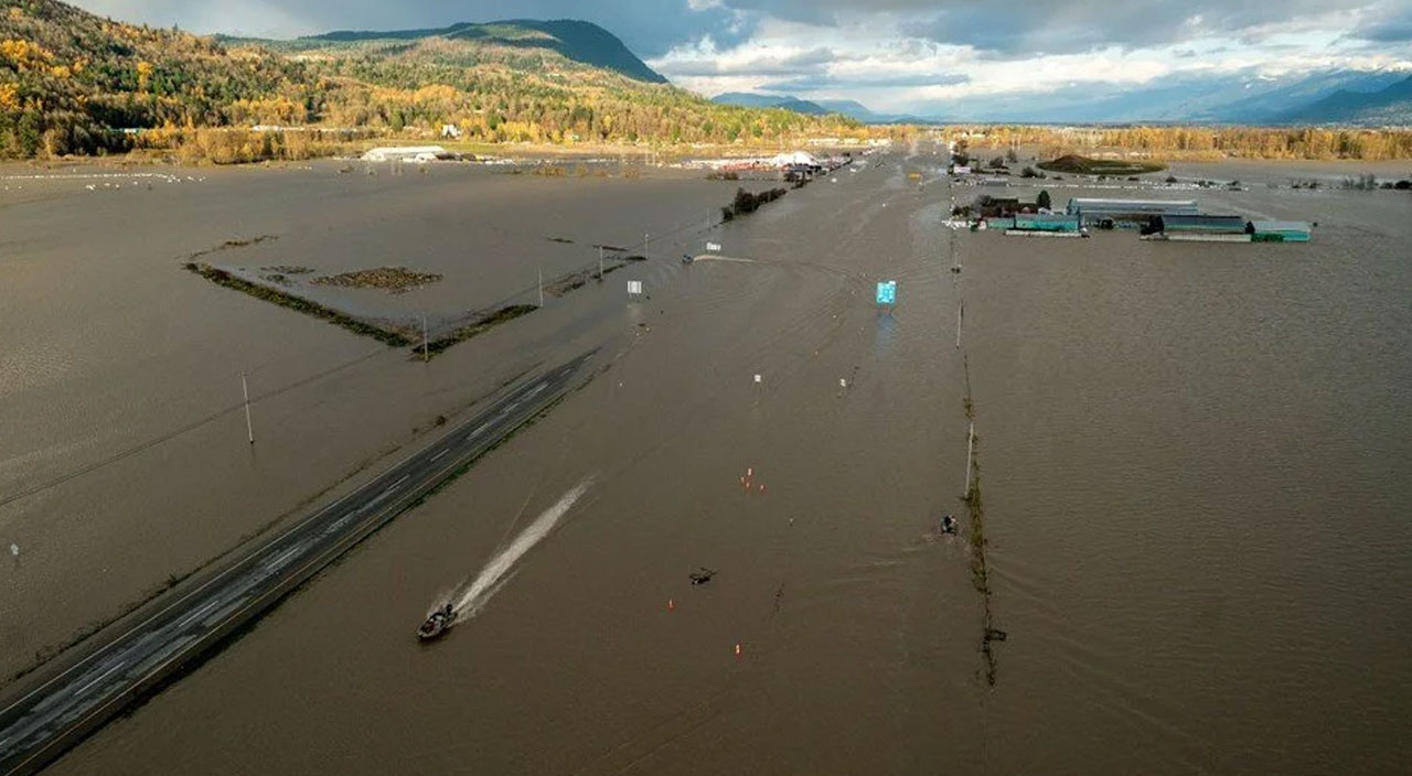 Kanada’da sel felaketi: Mahsur kalan inekler jet ski ile kurtarıldı