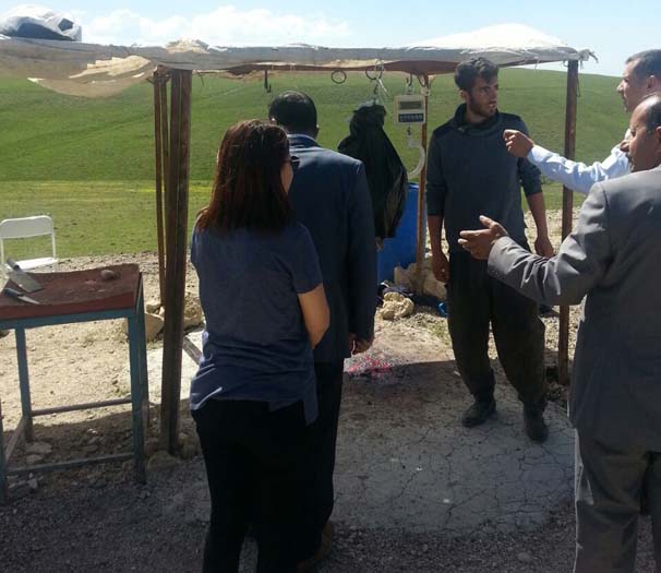 Kaçak kasaplara operasyon düzenlendi