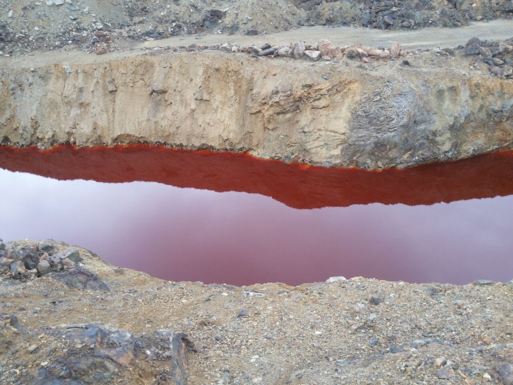 Gölet kızıla boyandı