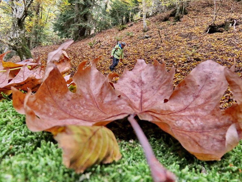 Şehrin stresinden uzaklaşmak isteyenlerin tercihi Kazdağları