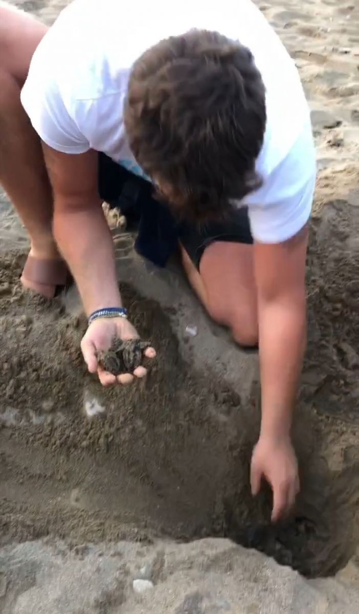 Kıvanç Tatlıtuğ, küçük Can ile caretta carettaları denize kavuşturdu