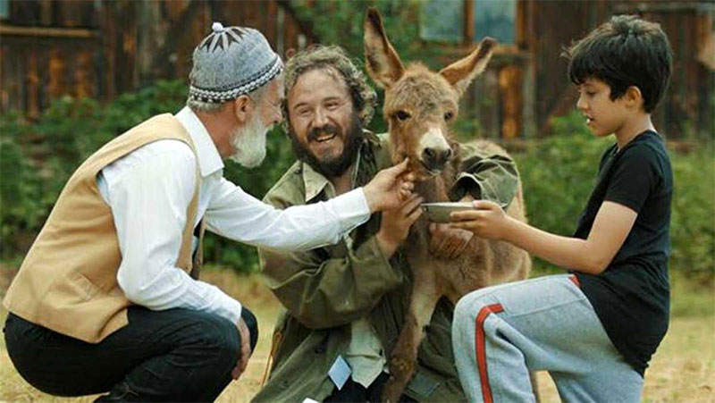 Sinemacı Murat Çeri: Her yönetmen biraz şairdir