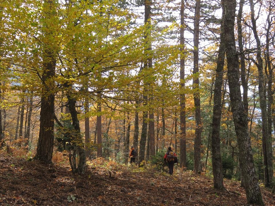 Şehrin stresinden uzaklaşmak isteyenlerin tercihi Kazdağları