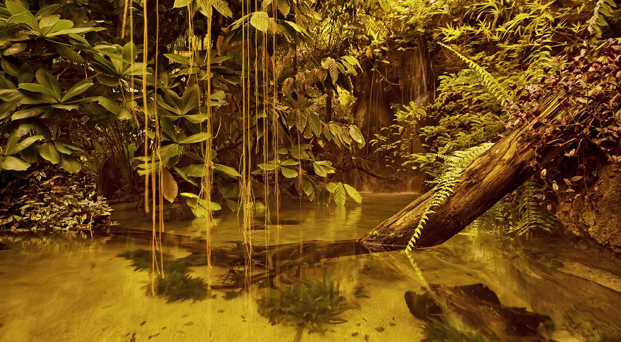 İstanbul Akvaryum'dan sömestire özel öğretici etkinlikler