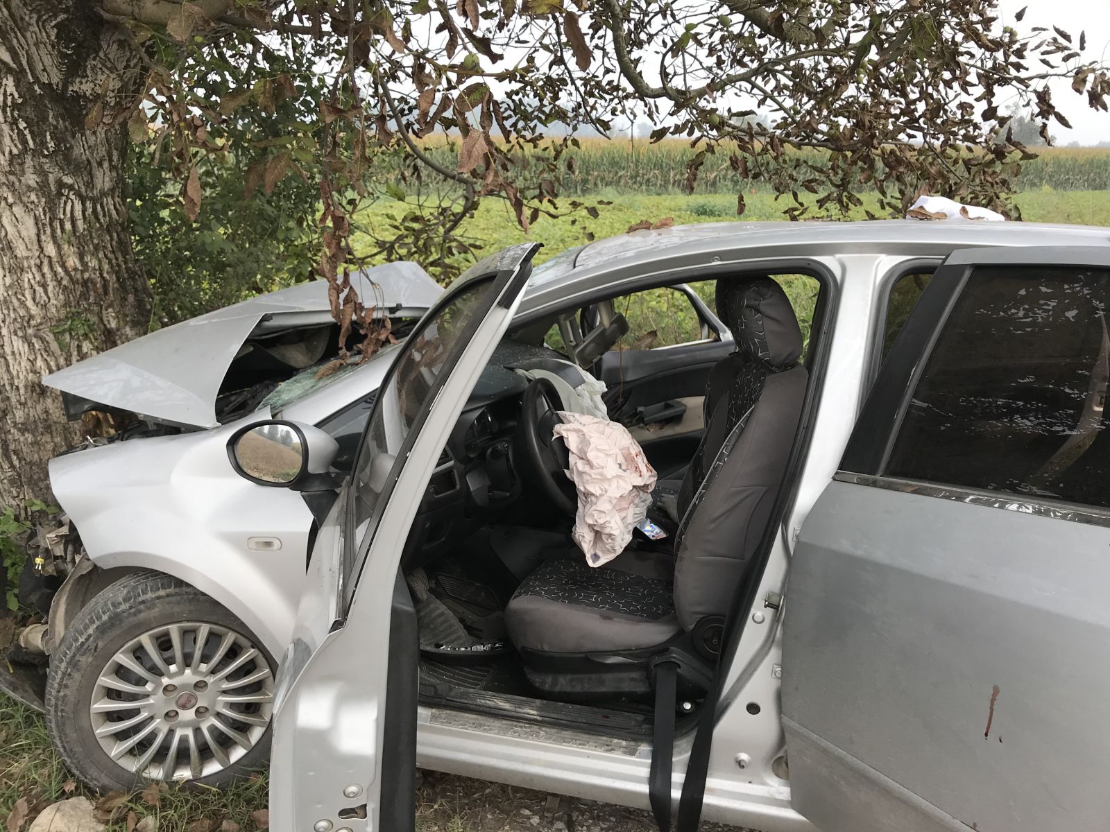 Sakarya'da otomobil ağaca çarptı: 3’ü ağır 5 yaralı