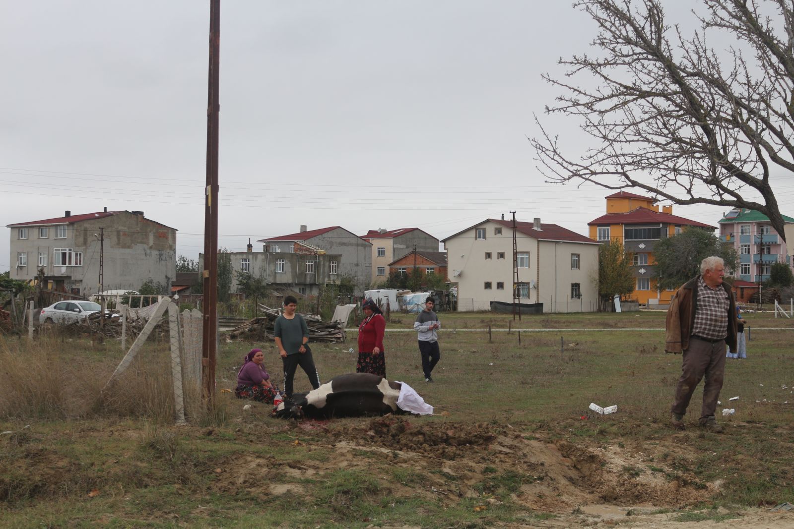 Telef olan hayvanlarını o halde görünce fenalık geçirdi