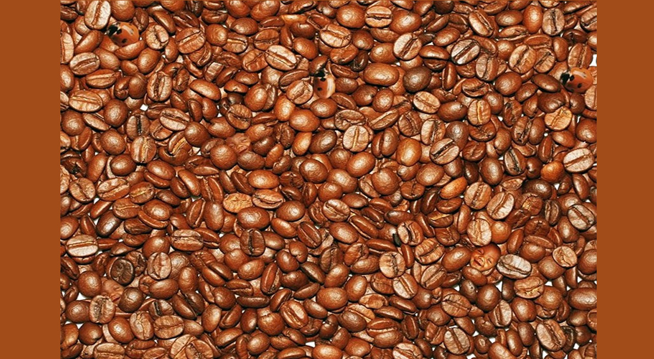 Beyin yakan illüzyon testi: Resimde kaç bebek yüzü ve uğur böceği var? Bulmak dikkat gerektiriyor, doğruyu bilen kişi sayısı çok az