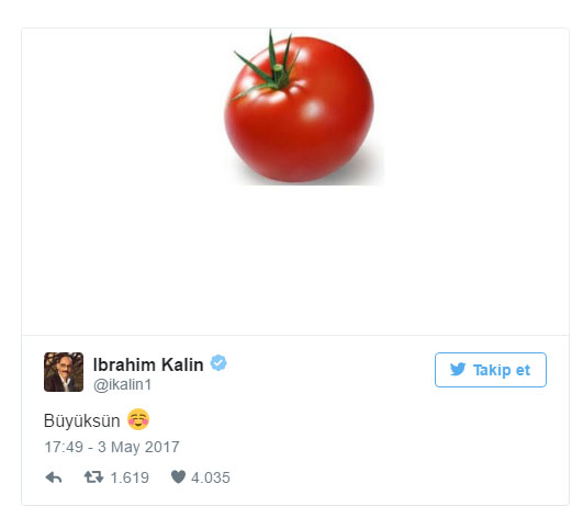 Siyasilerden Türk domatesine Twitter'dan destek