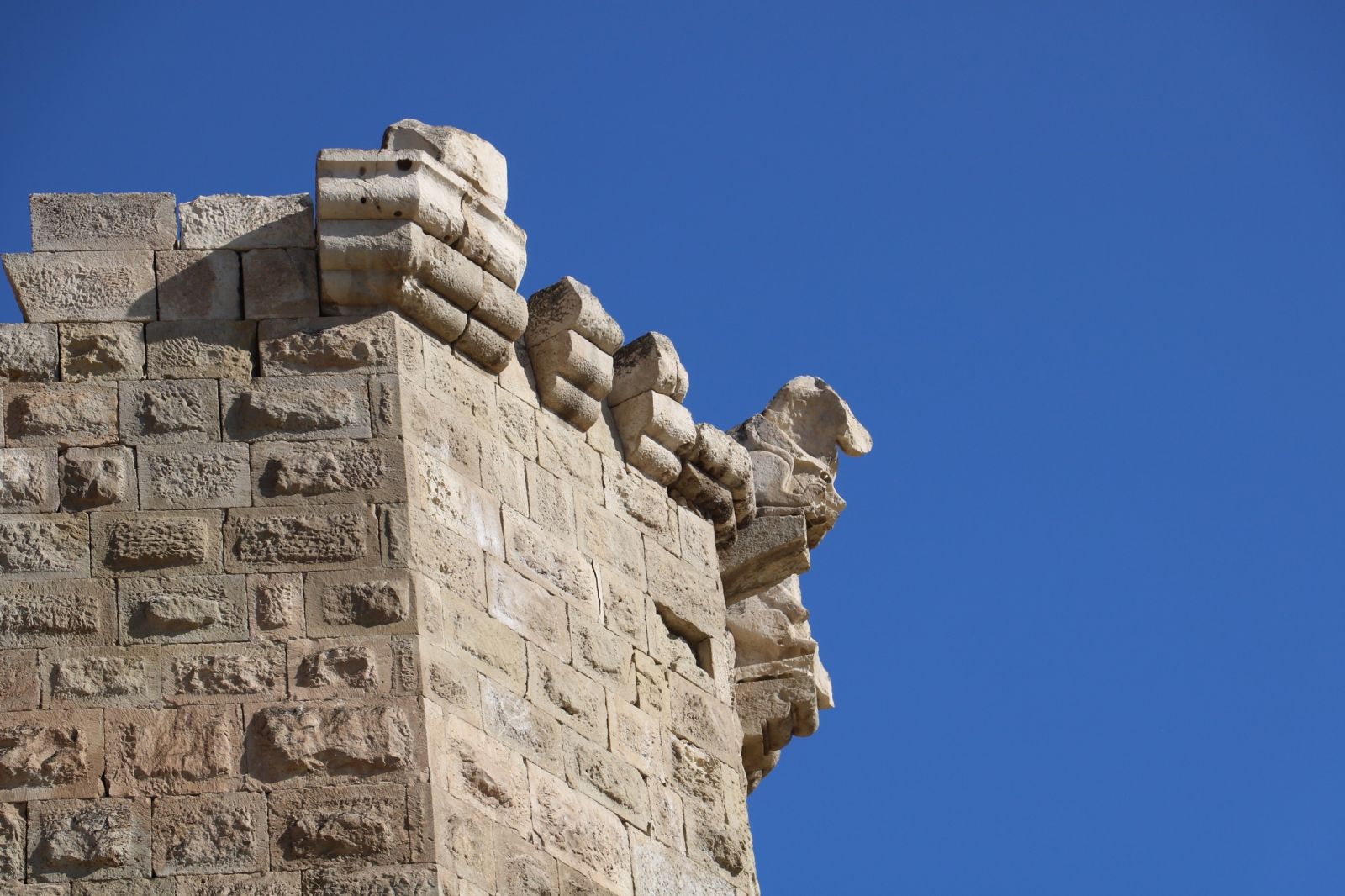 Fethi mümkün olmayan kale: Divriği Kalesi