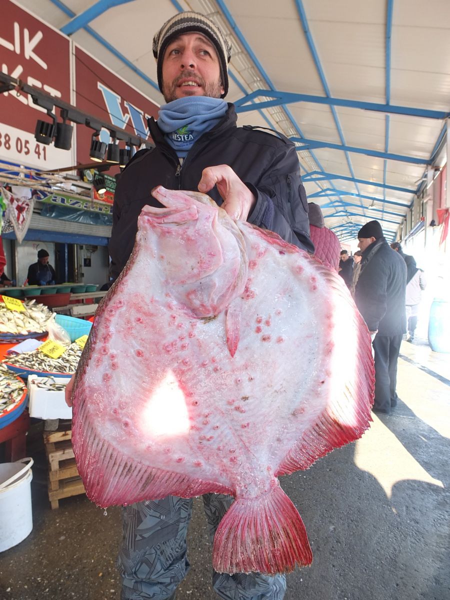 Balıkların paşası 750 liraya alıcı buldu