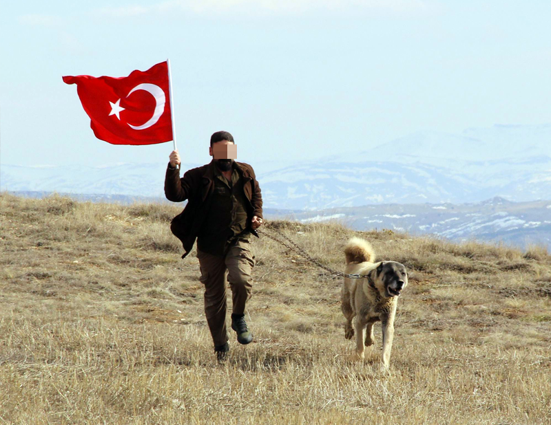 Kangallar ‘Afrin’ için hazırlanıyor!