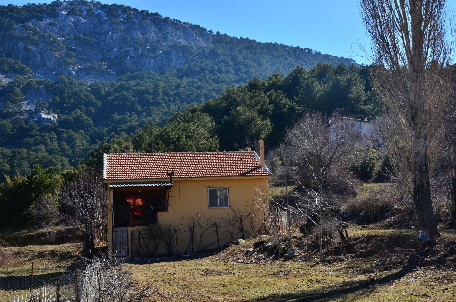 Kanser hastalarına şifa veren köy, turistlerin akınına uğradı