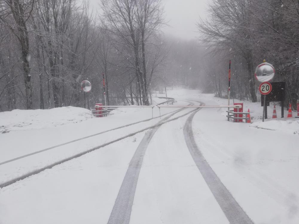 Kocaeli'de kar yağışı başladı