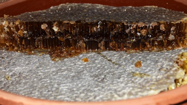 Karakovan balına terör darbesi