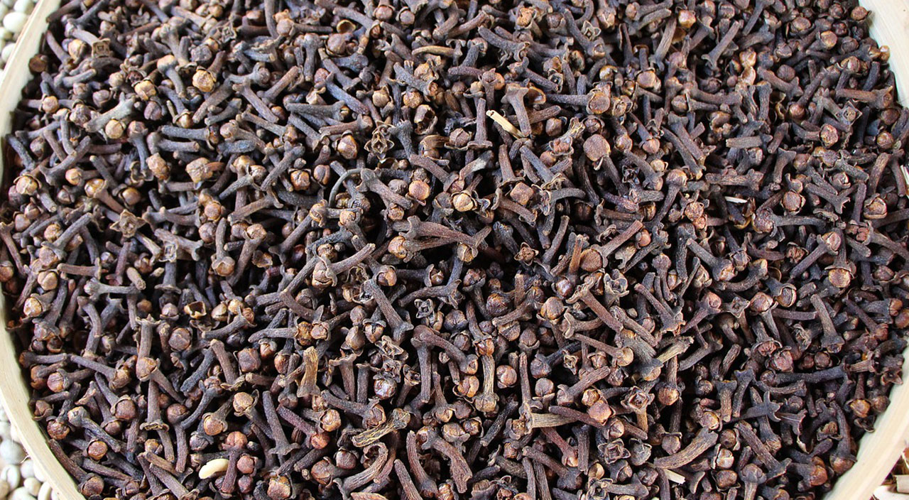 Karanfil çiğnemenin çok sayıda faydası bulunuyor Karanfil çiğnemenin çok sayıda faydası bulunuyor