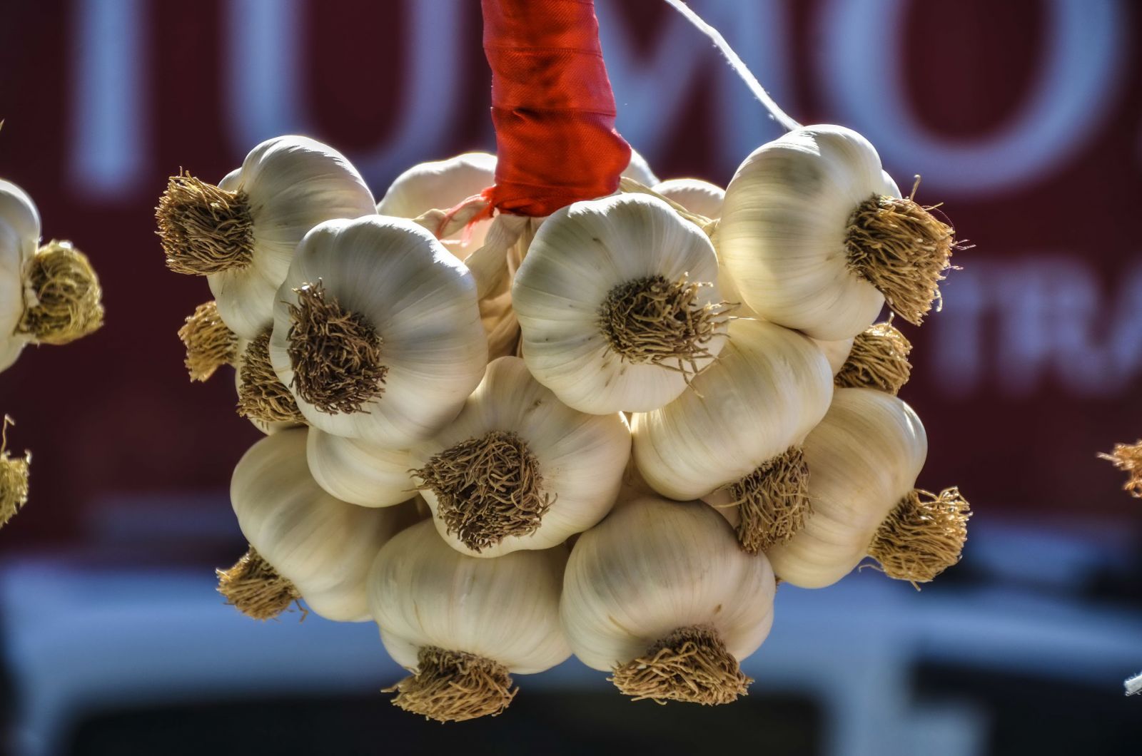 Prof. Dr. Canan Karatay kışın nasıl beslendiğini açıkladı