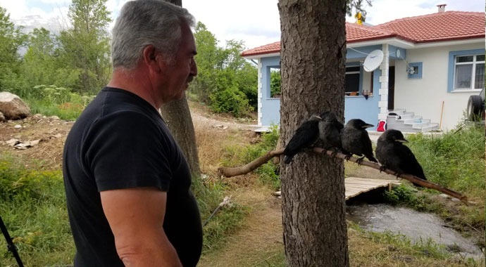 Sahiplendiği kargalara çocuklarının adını verdi