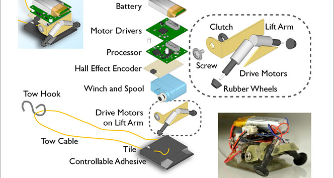 Bu karınca robot altı insan gücünde!