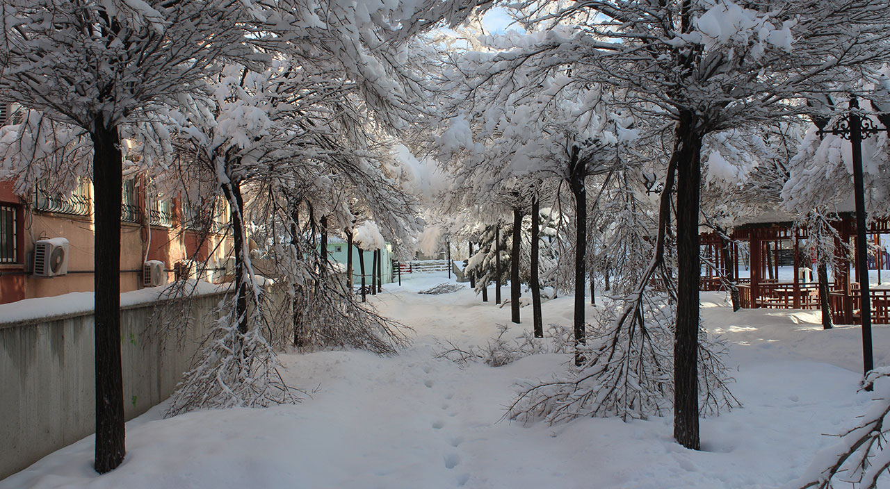 Soğuk hava Doğu Anadolu'yu esir aldı, kar kalınlığı 50 santimi geçti