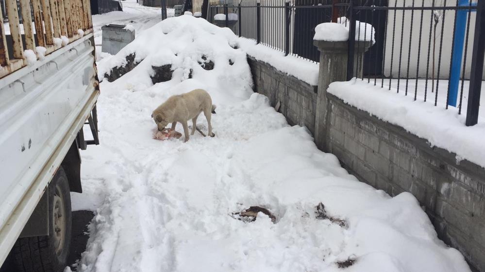 Lapa lapa yağdı, kar kamyonlarla taşınmaya başladı