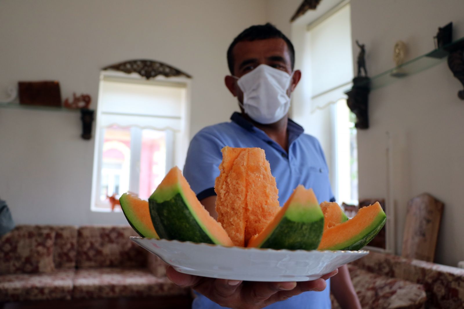 Bağrıbütün kavununda hasat zamanı başladı