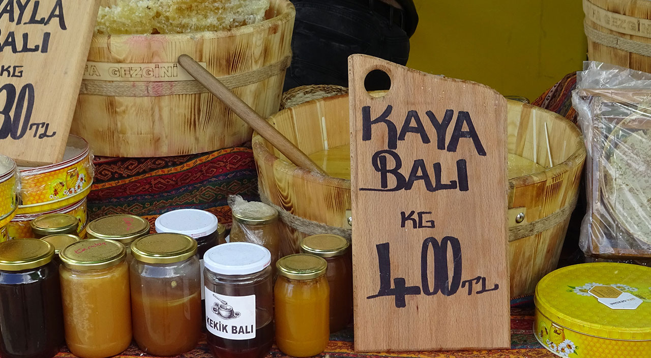 Birçok hastalığa şifa! Toplamak için atlarla dağlara çıkıyorlar