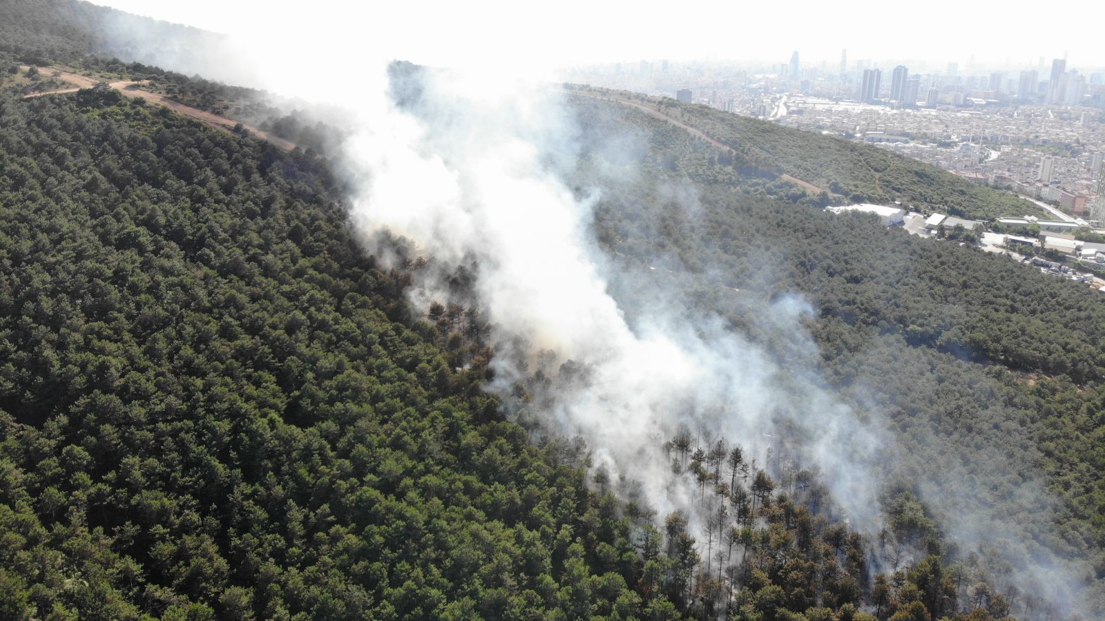Kayışdağı ormanında çıkan yangın havadan görüntülendi
