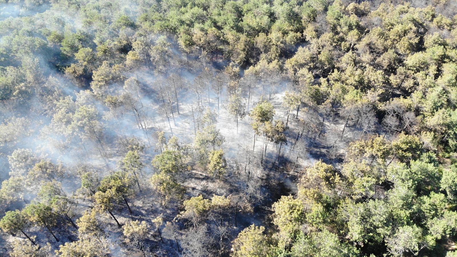 Kayışdağı ormanında çıkan yangın havadan görüntülendi